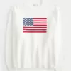 Hollister – Comfy Cloud – Rundhalspullover mit amerikanischer Flaggengrafik Hollister – Comfy Cloud – Rundhalspullover mit amerikanischer Flaggengrafik